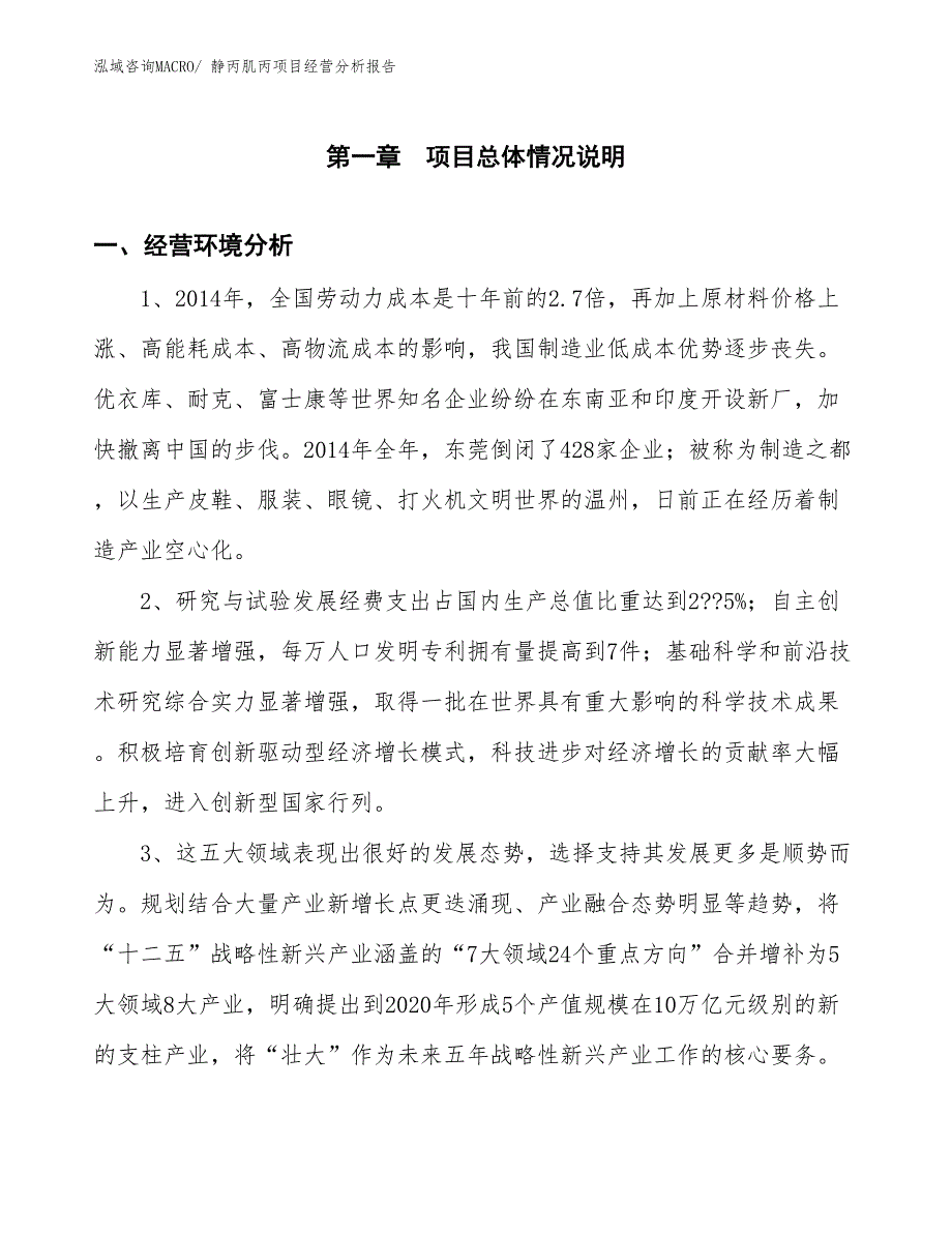 静丙肌丙项目经营分析报告_第1页