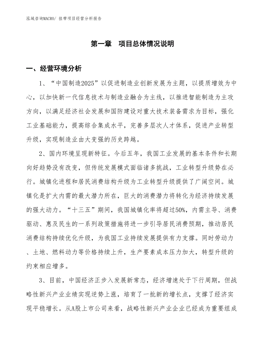 挂带项目经营分析报告_第1页