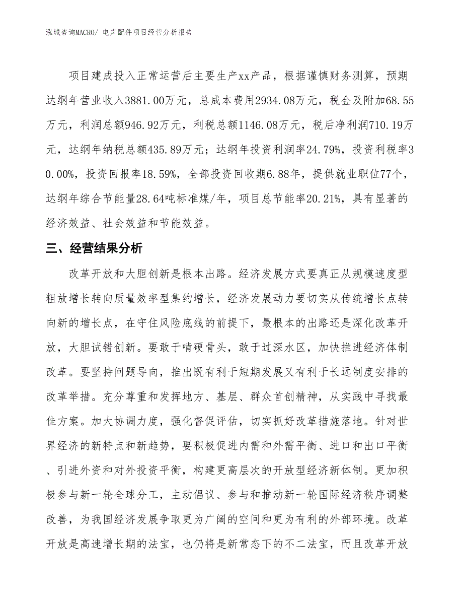 电声配件项目经营分析报告_第3页