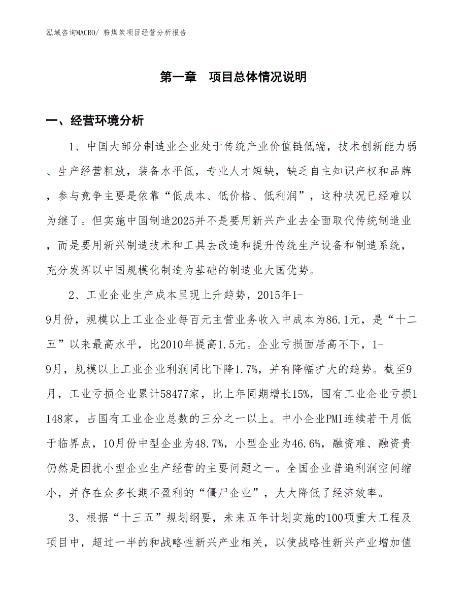 粉煤炭项目经营分析报告_第1页