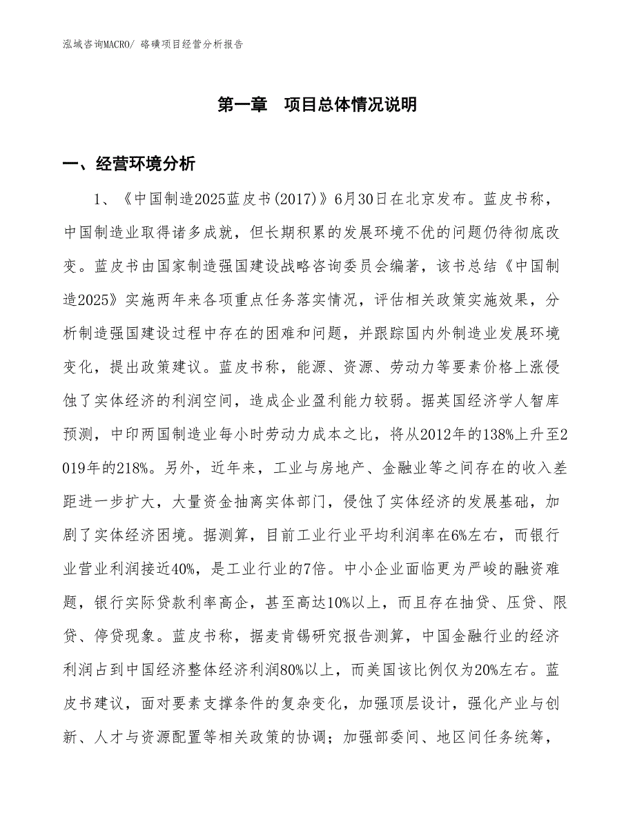 硌磺项目经营分析报告_第1页