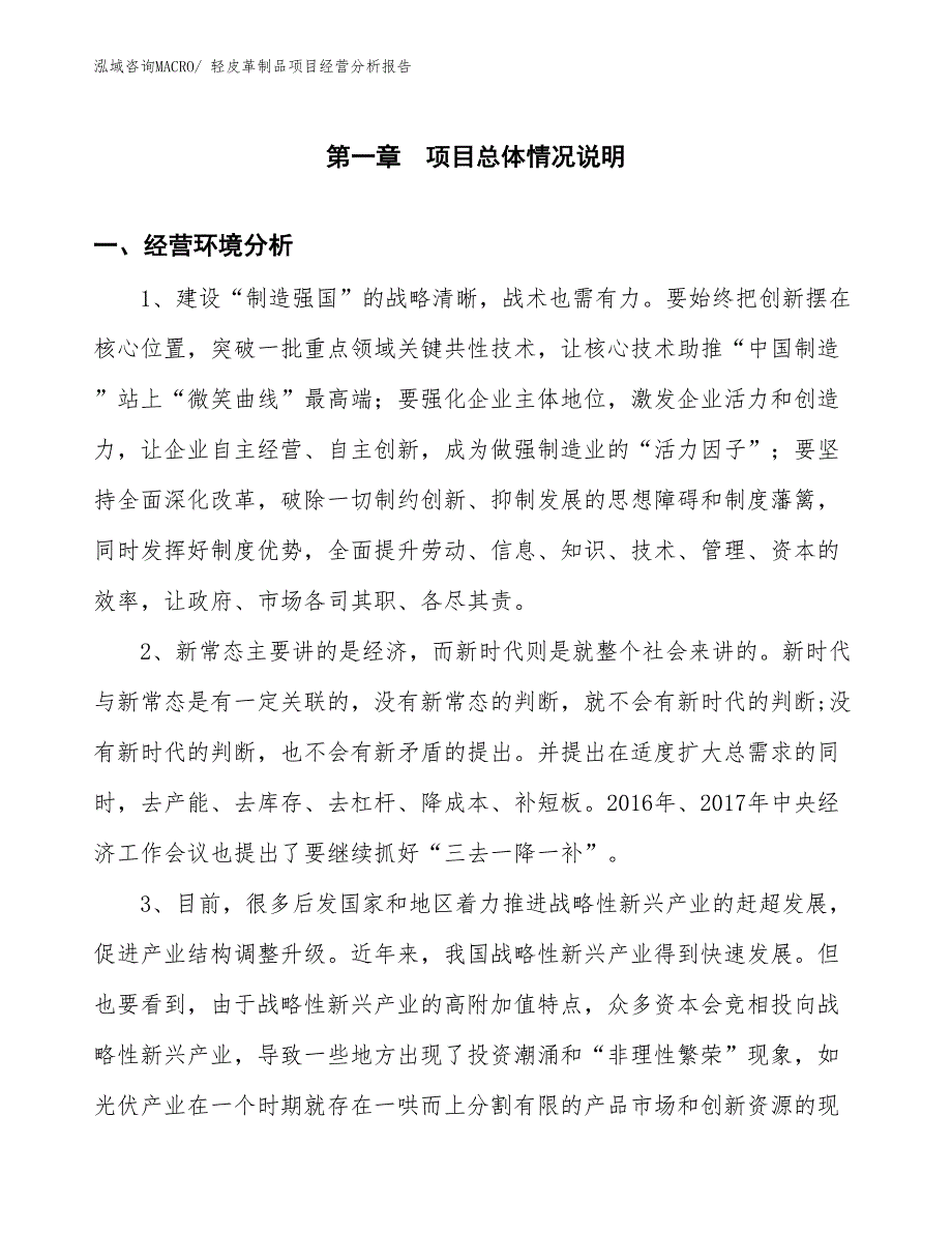 轻皮革制品项目经营分析报告_第1页