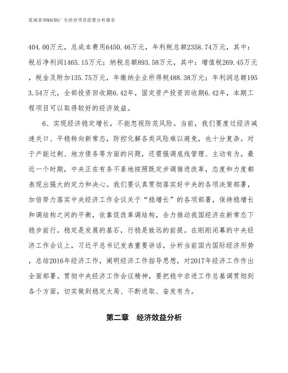 毛纺丝项目经营分析报告_第5页