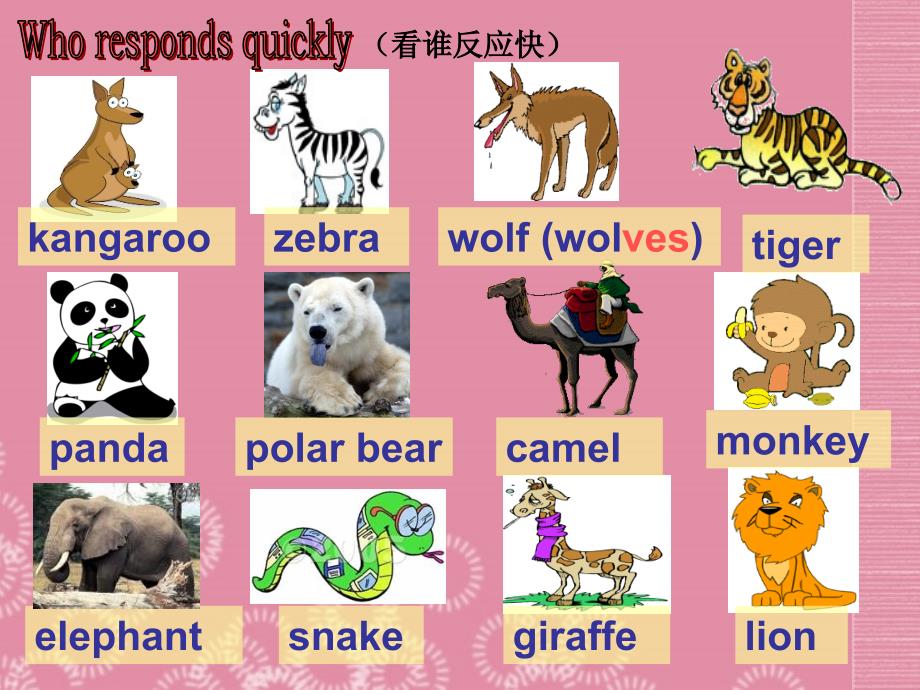 Module 9 A trip to the zoo Unit 2 Is it an African elephant 课件 (外研版七年级上).ppt_第4页