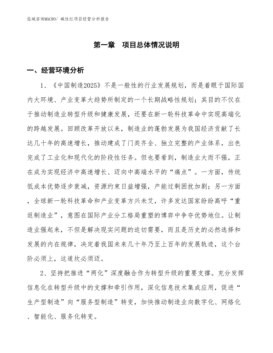 碱性红项目经营分析报告_第1页