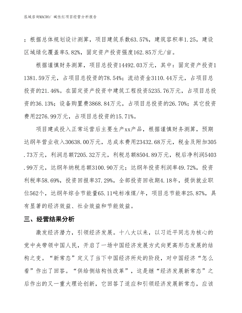 碱性红项目经营分析报告_第3页