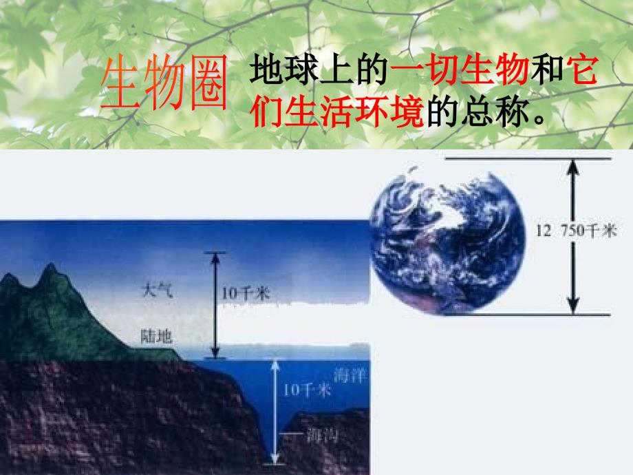 7.2绿色植物与生物圈的循环 课件 (2).ppt_第3页