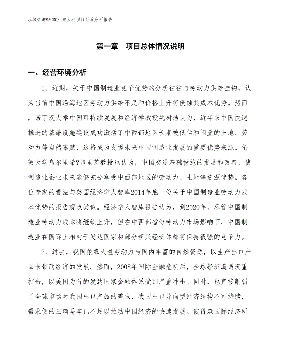 硅火泥项目经营分析报告_第1页