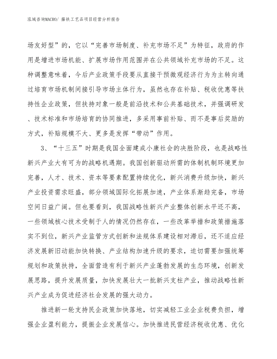 藤铁工艺品项目经营分析报告_第2页