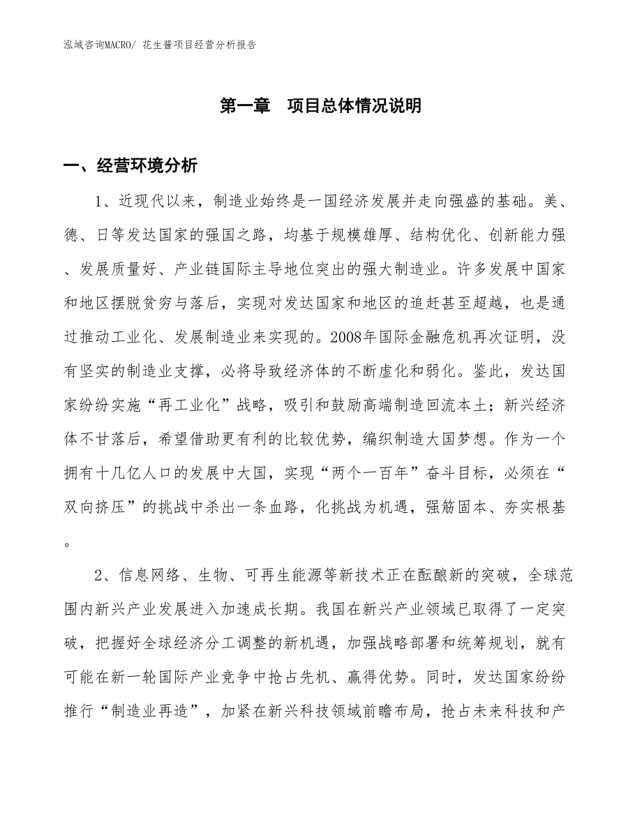 花生酱项目经营分析报告_第1页