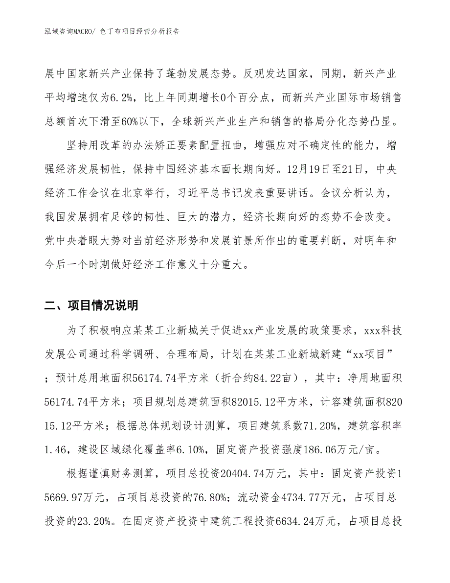 色丁布项目经营分析报告_第2页