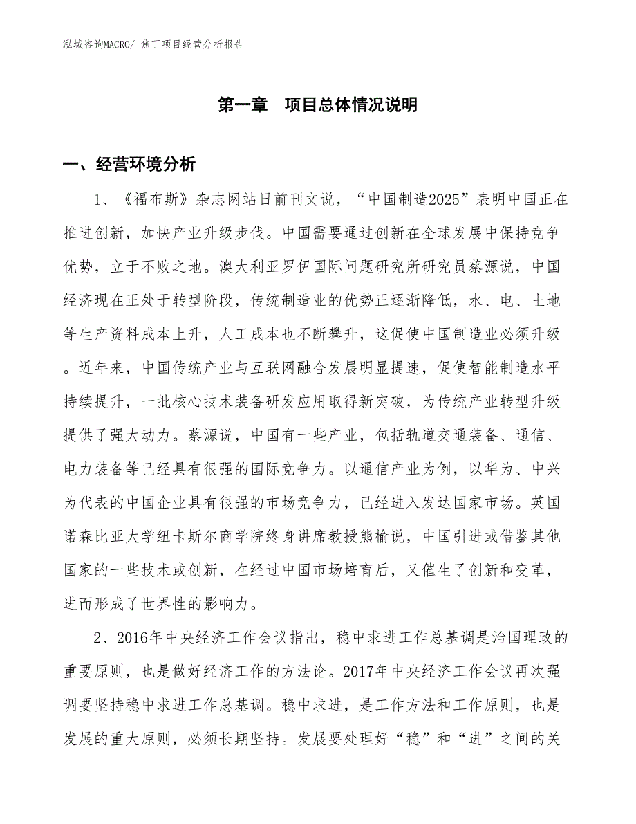 焦丁项目经营分析报告_第1页