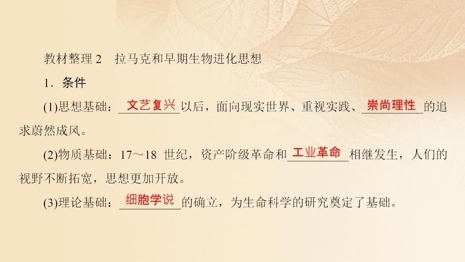 2018-2019学年高中历史第4单元近代以来世界的科学发展历程第12课探索生命起源之谜课件新人教版必修3_第5页