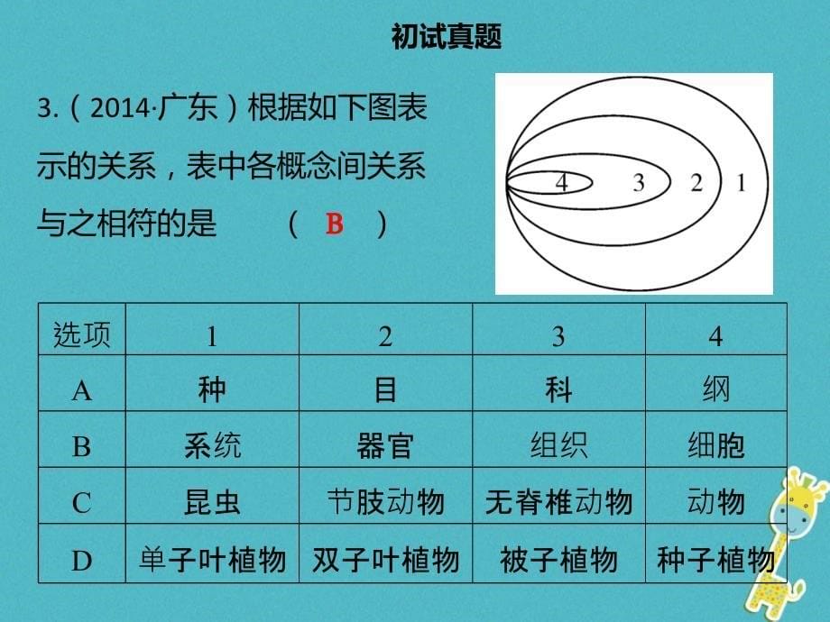 广东省2018中考生物模块八生物的多样性第三课时无脊椎动物的主要类别课件_第5页