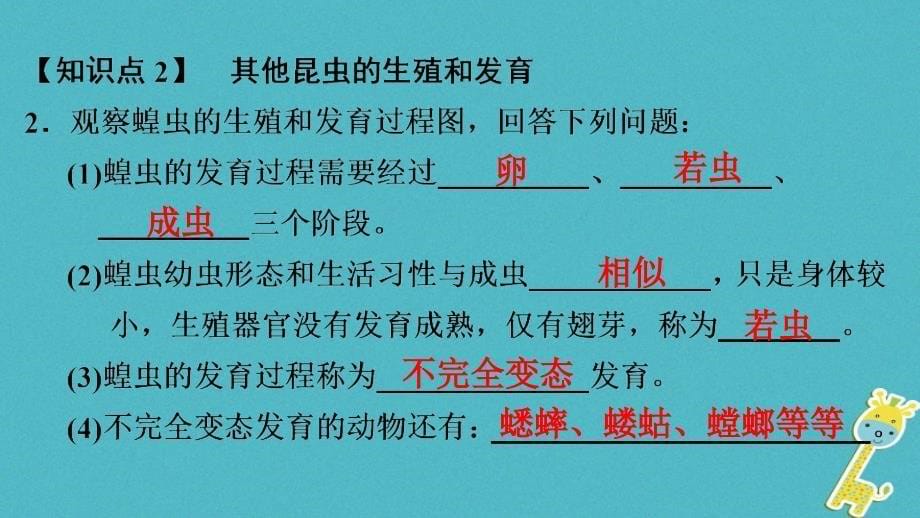 深圳专用2018八年级生物下册第七单元第一章第二节昆虫的生殖和发育课件(新版)新人教版_第5页