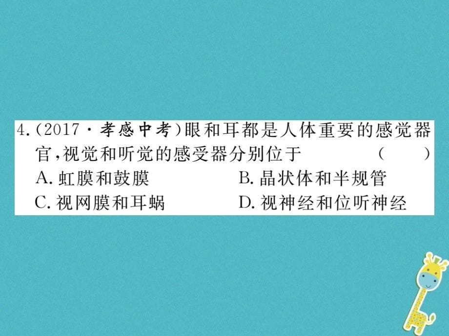 2018七年级生物下册第12章人体的自我调节小结与复习课件新版北师大版(1)_第5页