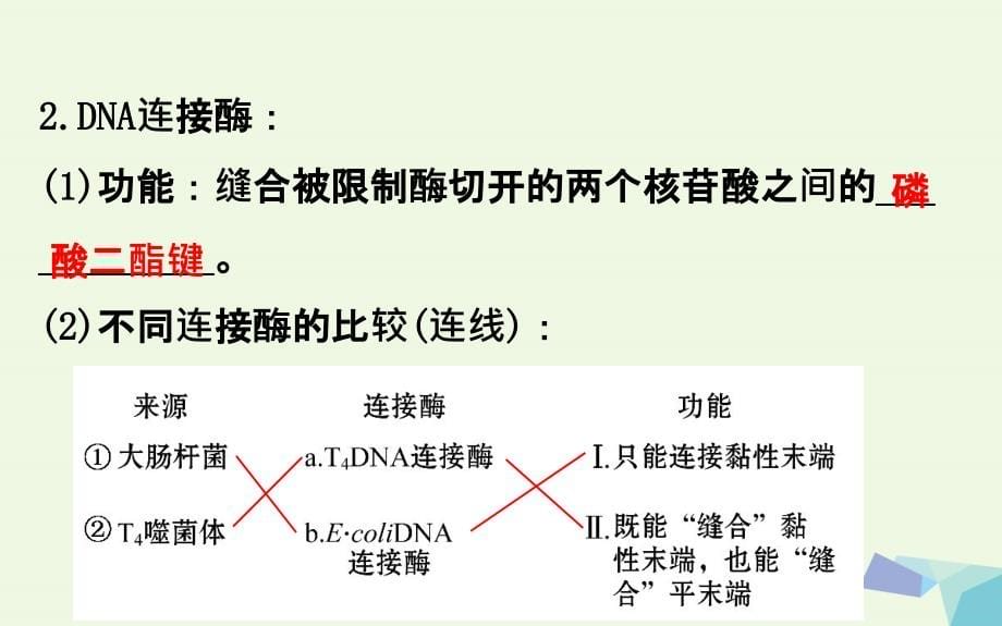 2018年高考生物大一轮复习高考预测现代生物科技专题3.1基因工程课件选修_第5页