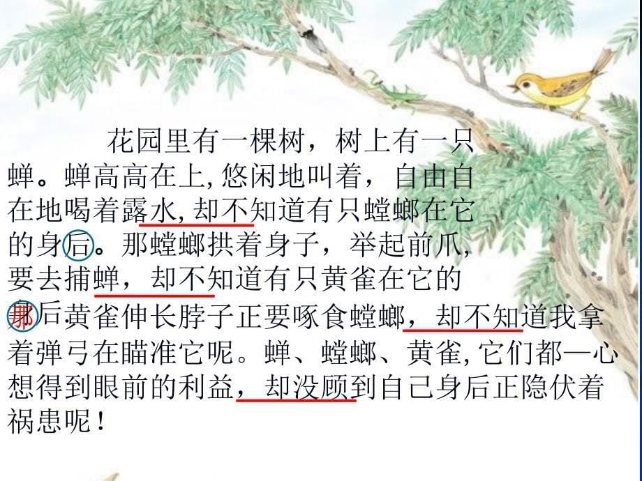 螳螂捕蝉-教学课件2_第5页