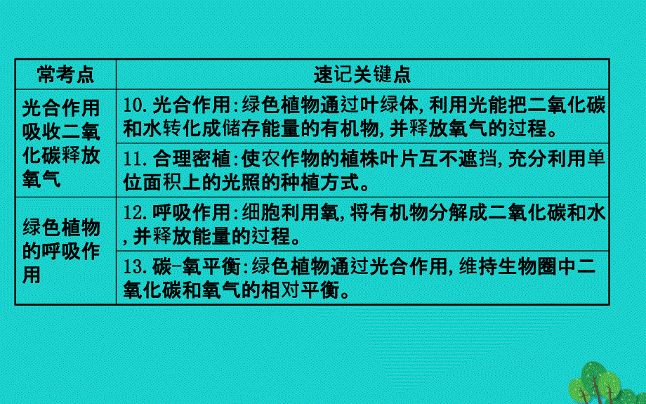 2018-2019学年七年级生物上期末复习 第三单元 第3-6章课件 新人教版_第4页