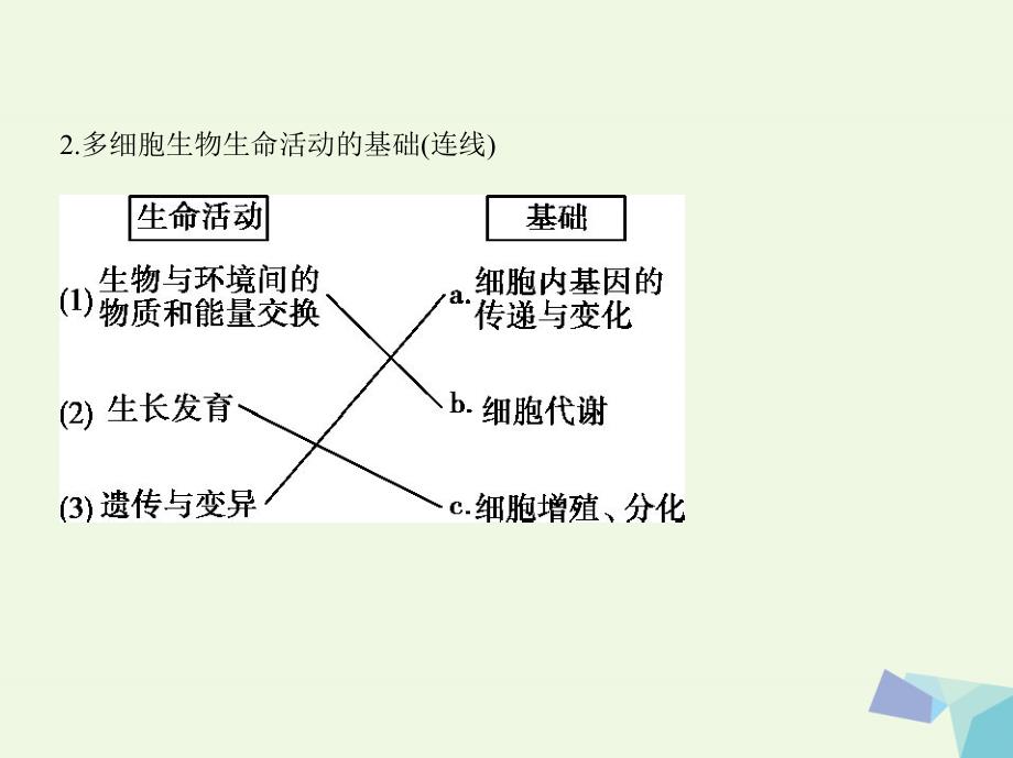 新课标2018高考生物一轮复习分子与细胞第1单元细胞的分子组成第4讲走近细胞课件必修_第3页