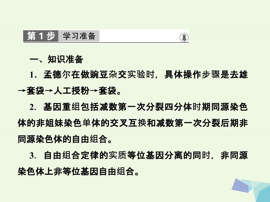 2018-2019年高中生物第六章从杂交育种到基因工程第1节杂交育种与诱变育种课件新人教版必修_第2页