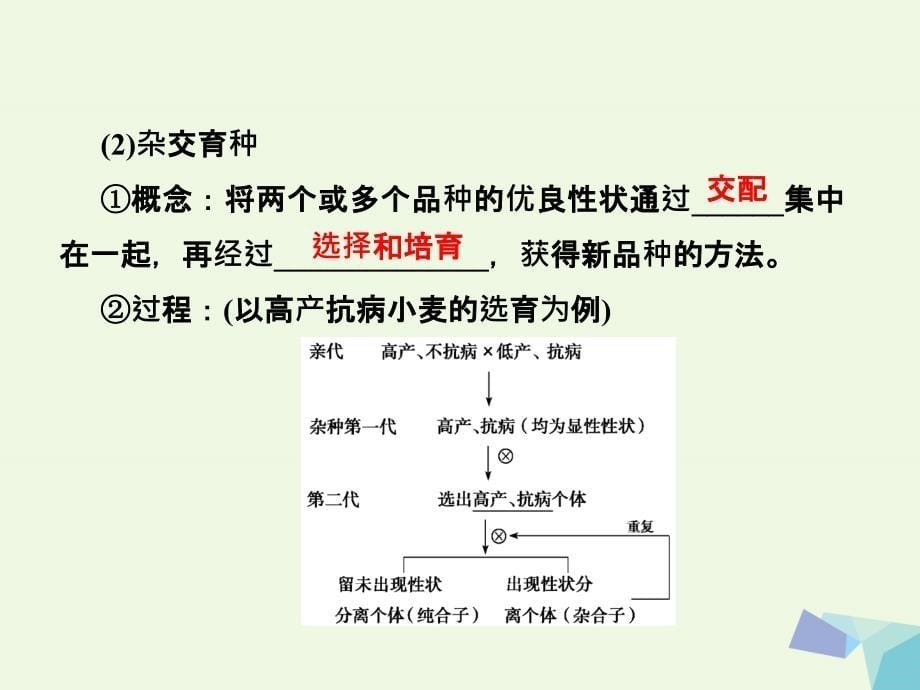 2018-2019年高中生物第六章从杂交育种到基因工程第1节杂交育种与诱变育种课件新人教版必修_第5页