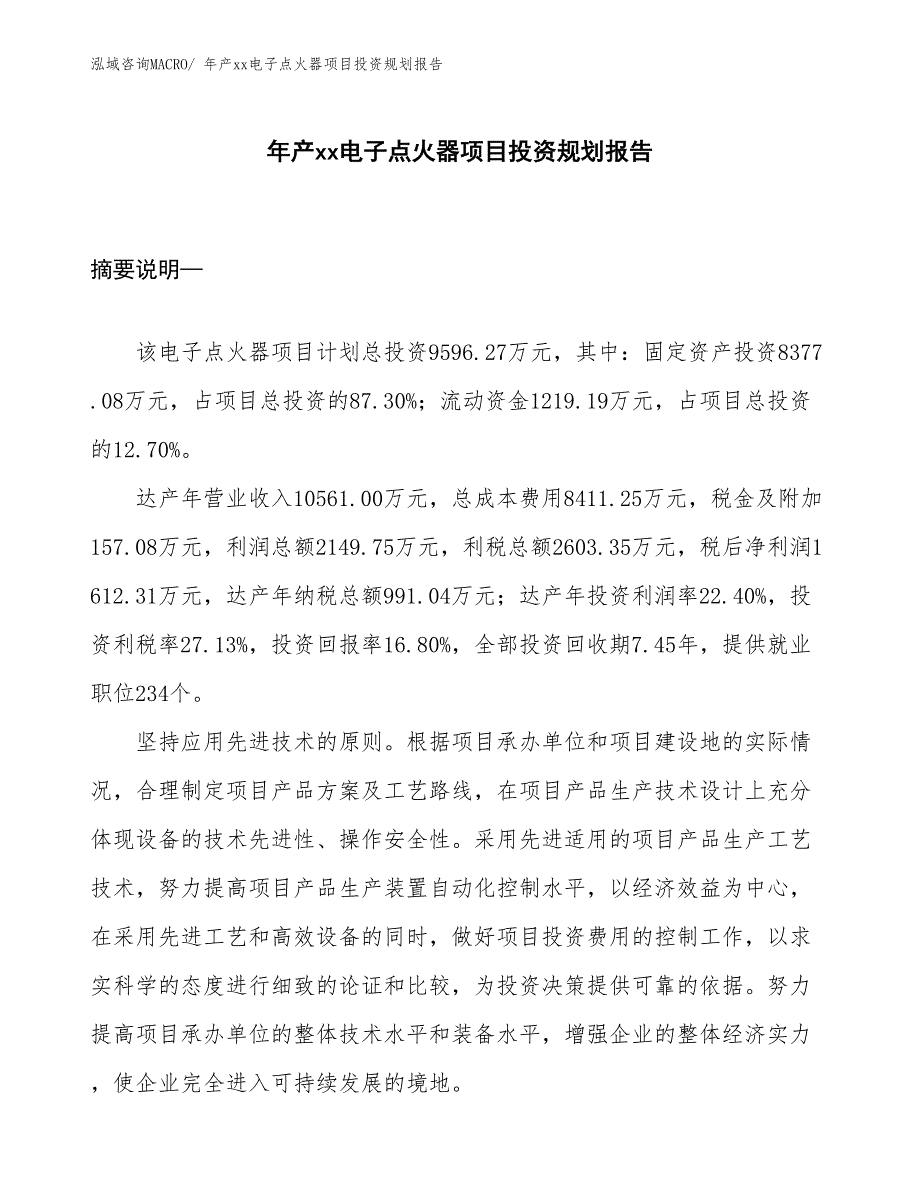 年产xx电子点火器项目投资规划报告_第1页