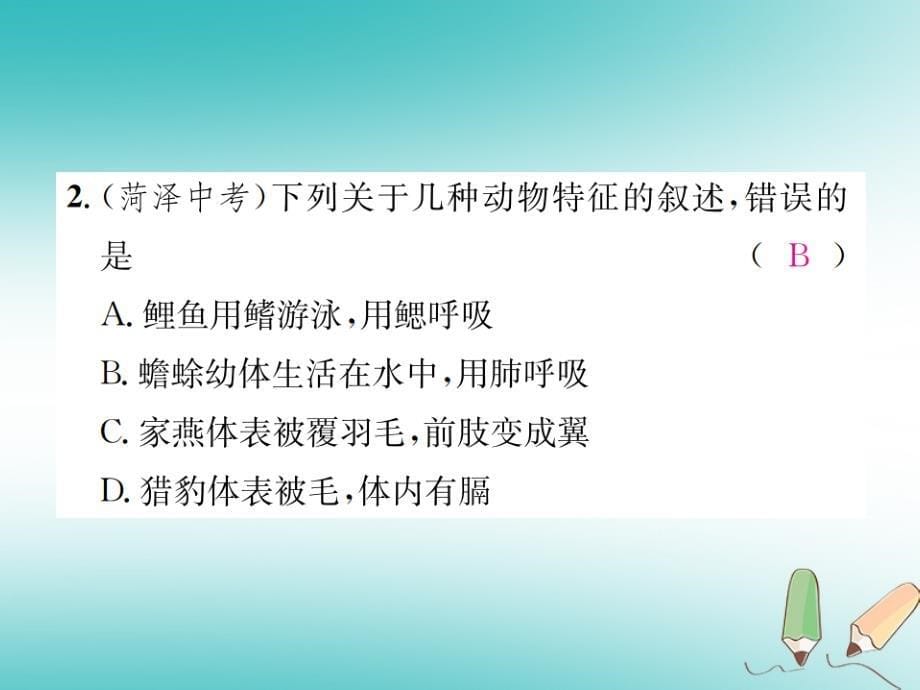 2018年秋七年级科学上册第2章观察生物章末复习二课件新版浙教版_第5页