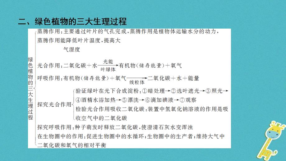 河南省2018年中考生物总复习第2部分模块1专题3生物圈中的绿色植物课件_第4页