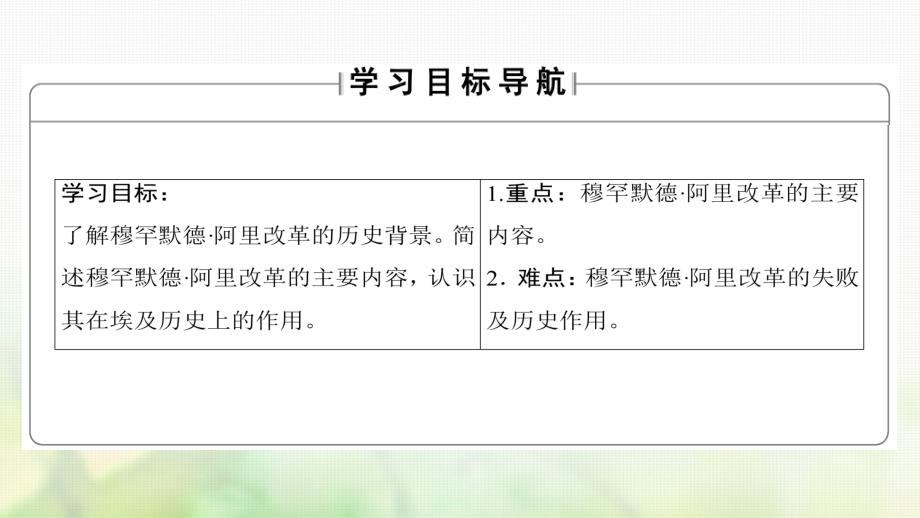 2018-2019学年高中历史第4单元工业文明冲击下的改革第13课穆罕默德阿里改革课件岳麓版选修_第2页