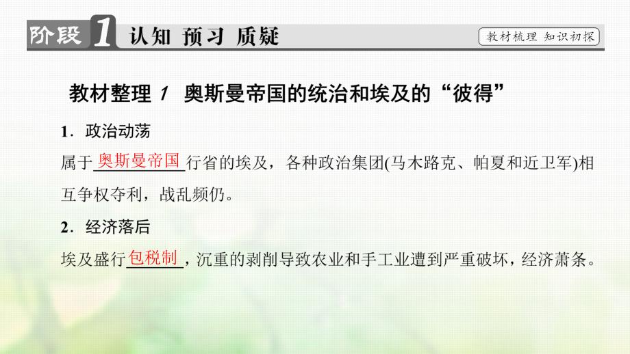 2018-2019学年高中历史第4单元工业文明冲击下的改革第13课穆罕默德阿里改革课件岳麓版选修_第3页