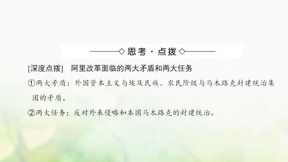 2018-2019学年高中历史第4单元工业文明冲击下的改革第13课穆罕默德阿里改革课件岳麓版选修_第5页