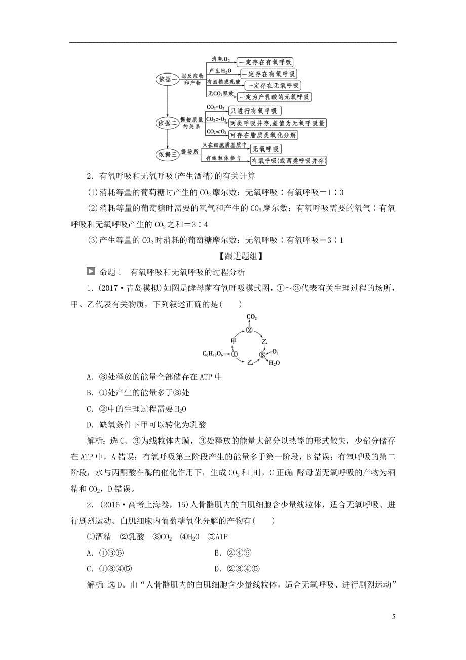 全国2018版高考生物大一轮复习第三单元细胞的能量供应和利用第9讲atp的主要来源--细胞呼吸学案_第5页