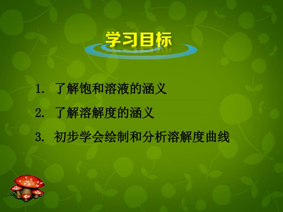 河北省东光县第二中学九年级化学下册 第九单元 课题2 溶解度课件 新人教版_第2页