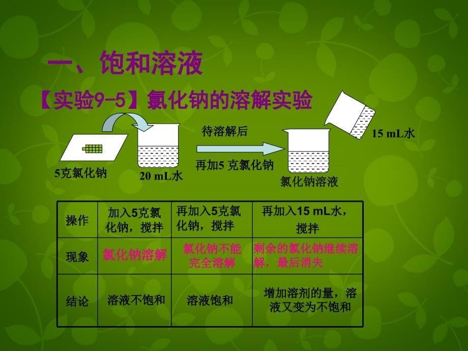 河北省东光县第二中学九年级化学下册 第九单元 课题2 溶解度课件 新人教版_第5页