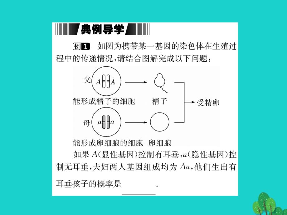 2018春九年级数学下册 26.4 综合与实践 概率在遗传学中的应用（小册子）课件 （新版）沪科版_第3页