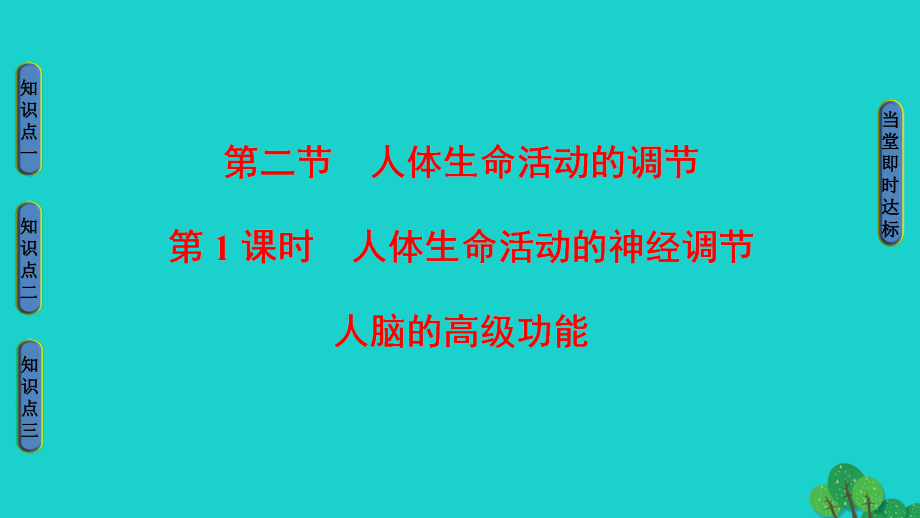 2018-2019学年高中生物第2章生物个体的稳态第2节人体生命活动的调节第1课时人体生命活动的神经调节人脑的高级功能课件苏教版_第1页