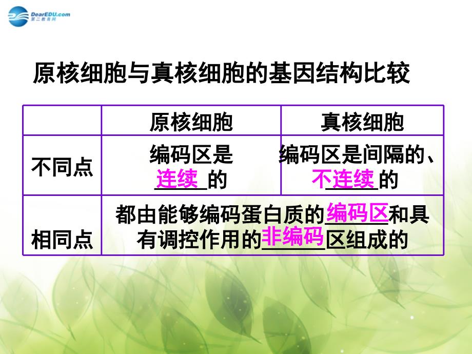 高中生物 专题一课题二 基因工程的基本操作程序课件2 新人教版选修3_第4页