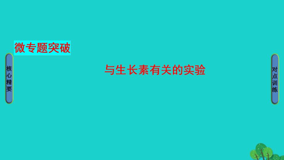 2018-2019学年高中生物第3章植物的激素调节第3节与生长素有关的实验微专题突破课件新人教版_第1页