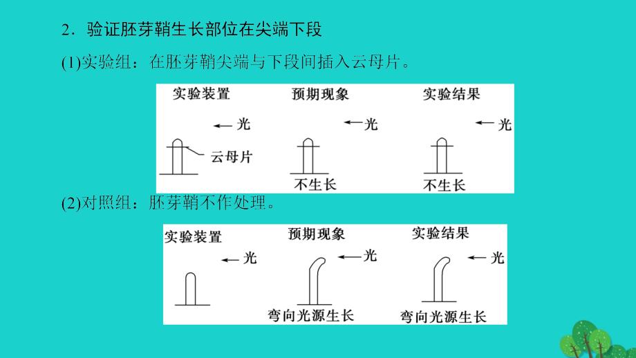 2018-2019学年高中生物第3章植物的激素调节第3节与生长素有关的实验微专题突破课件新人教版_第4页