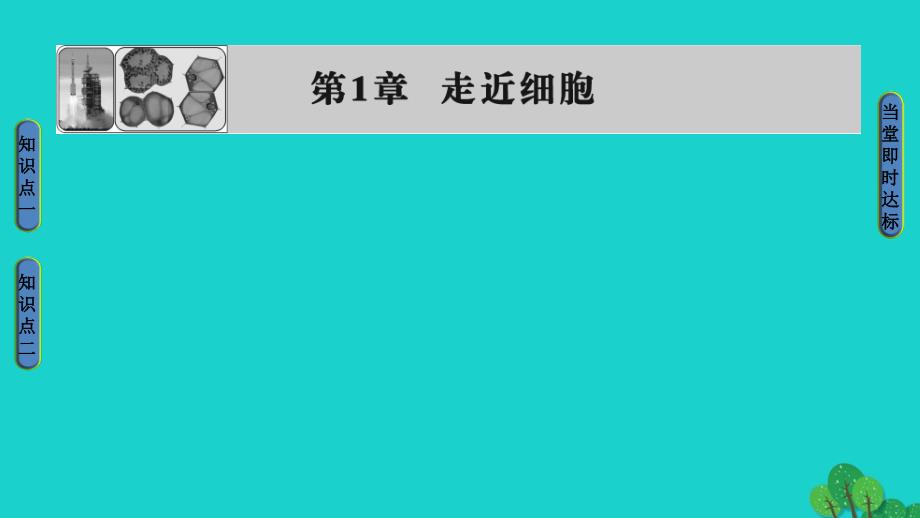 2018-2019学年高中生物 第1章 走近细胞 第1节 从生物圈到细胞课件 新人教版必修1_第1页