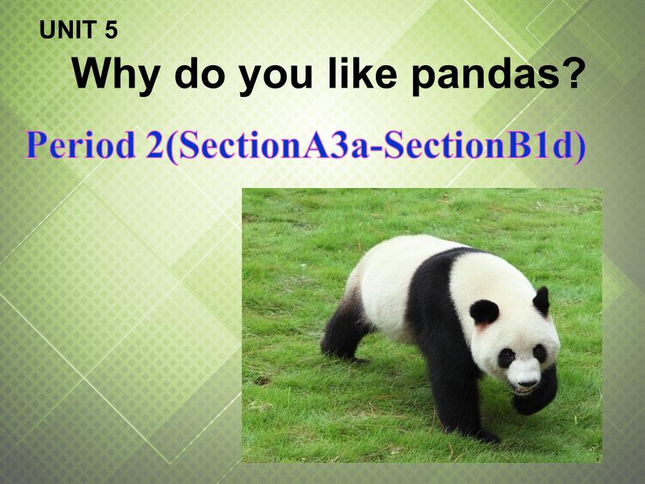 黑龙江省伊春市嘉荫县第二中学七年级英语下册《unit 5 why do you like pandas period 2》课件 （新版）人教新目标版_第1页