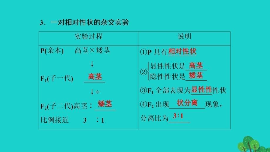 2018-2019学年高中生物第1章遗传因子的发现第1节孟德尔的豌豆杂交实验一ⅰ课件新人教版_第5页