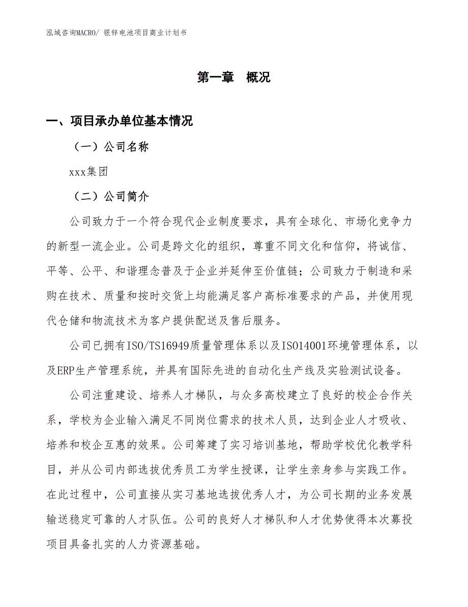 （融资）银锌电池项目商业计划书_第3页