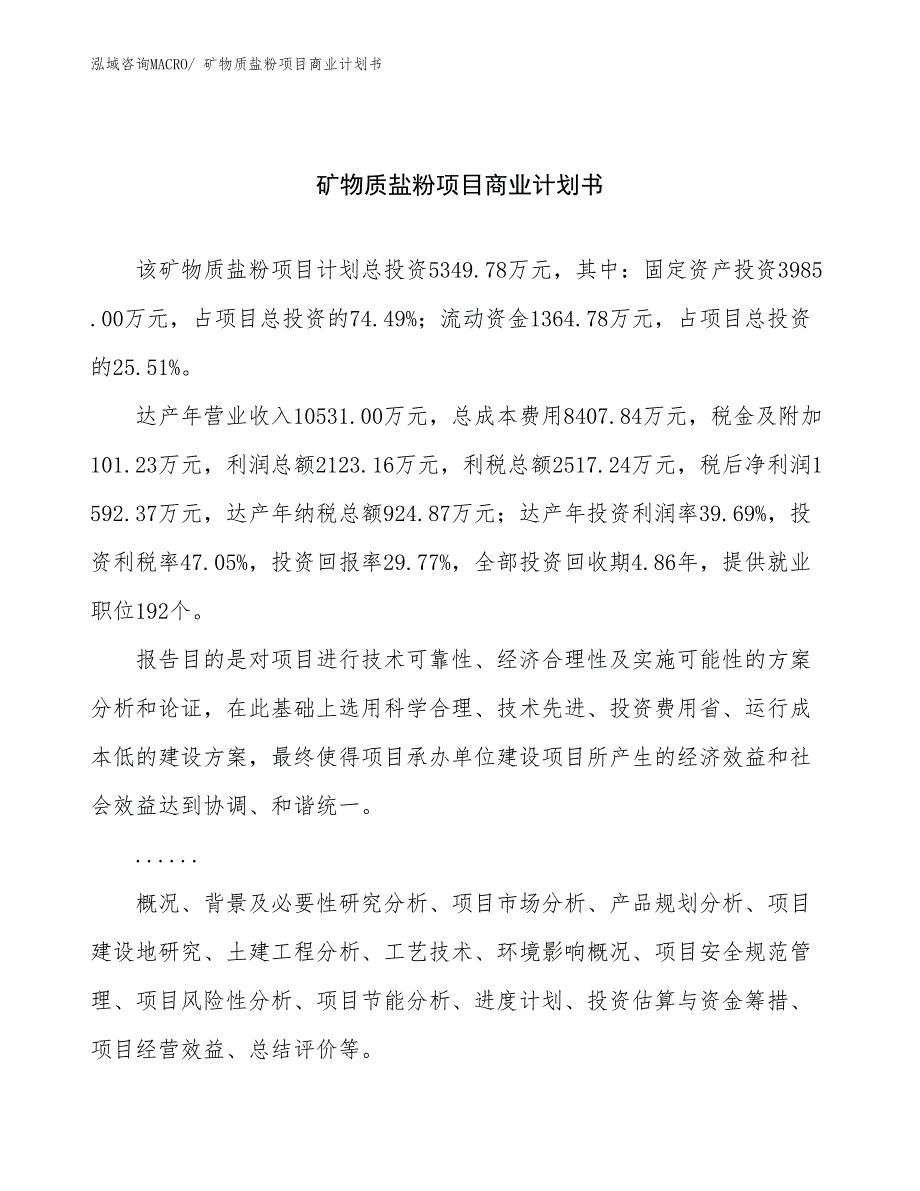 （项目计划）矿物质盐粉项目商业计划书_第1页