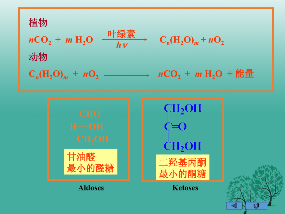 2018年高中化学 碳水化合物-糖课件_第4页