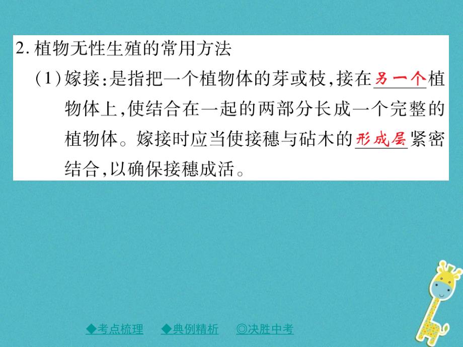 2018中考生物总复习专题突破六生物的繁殖发育与遗传第2讲课件_第3页