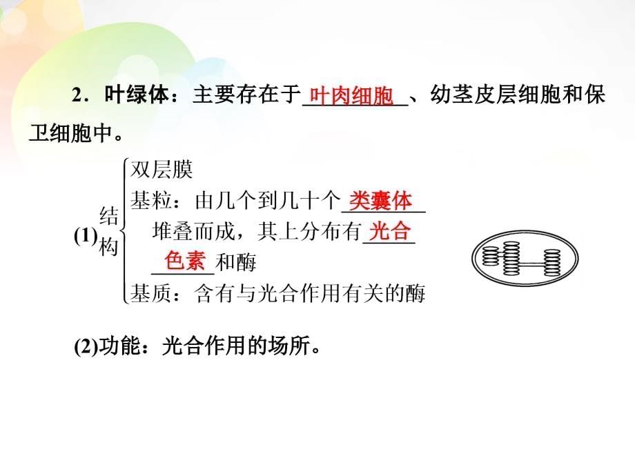 高中生物 3.2《细胞器 系统内的分工合作》课件 新人教版必修1_第5页