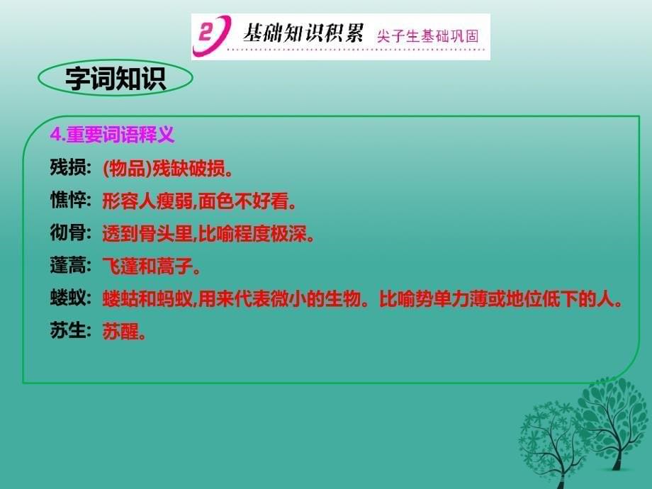 2018春九年级语文下册第1单元第2课我用残损的手掌课件新版新人教版_第5页