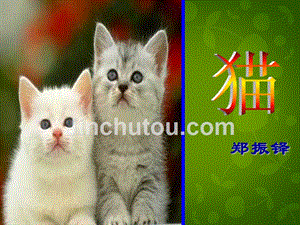 湖北省麻城市集美学校七年级语文下册 26 猫课件 新人教版